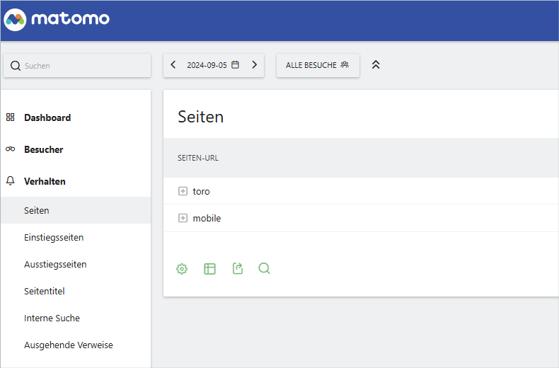 matomo_seiten.png